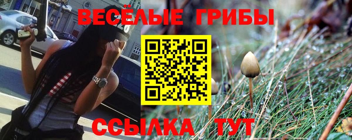 Тула  Псилоцибиновые грибы MAGIC MUSHROOMS  Вход с VPN 